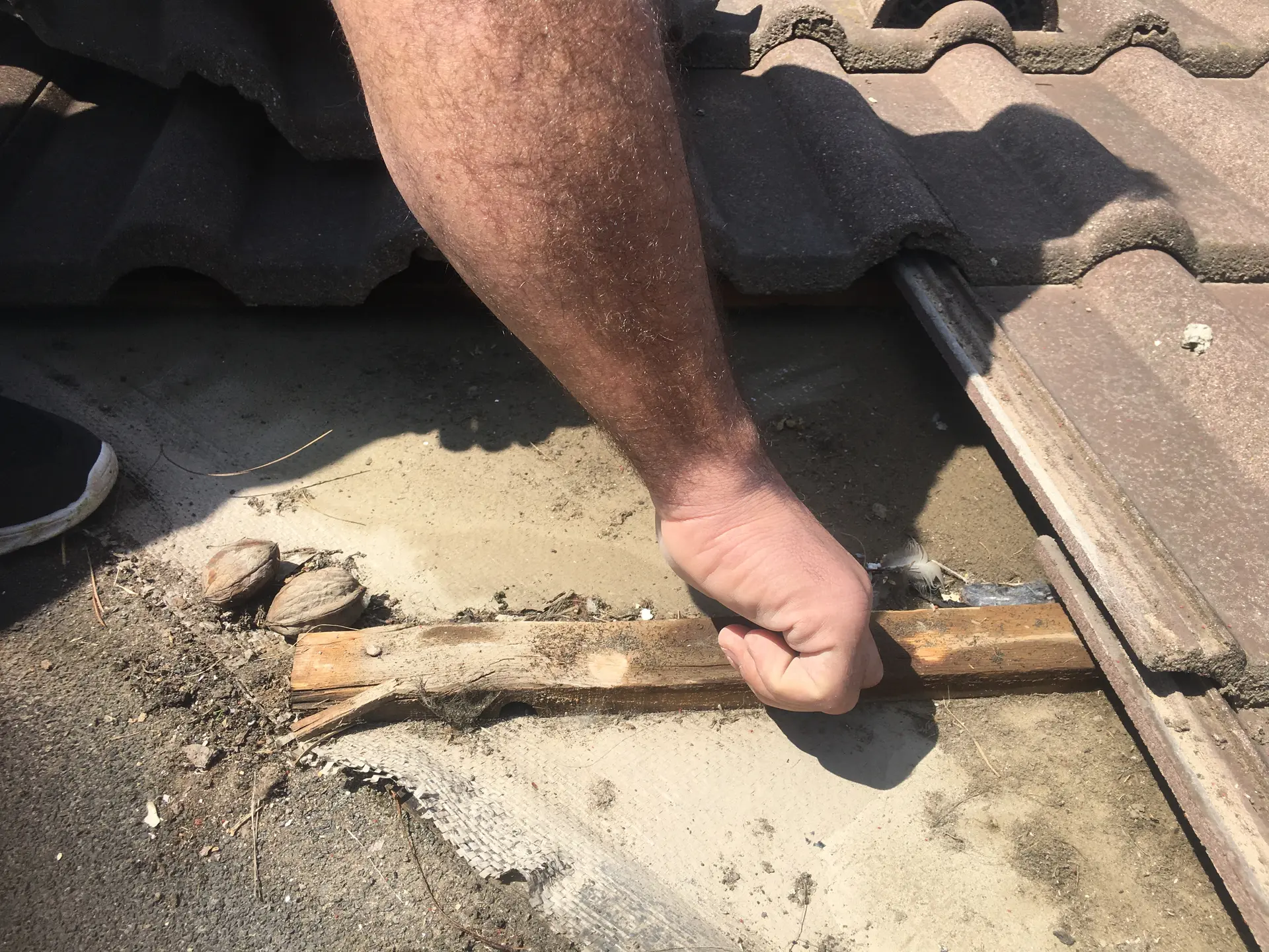 Intrusive technical investigation of a roof build-up